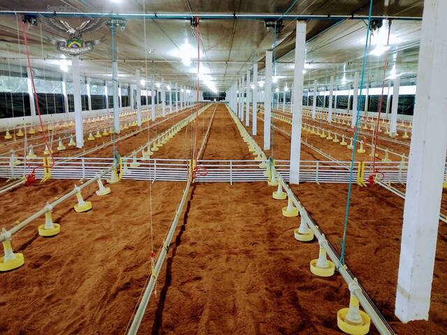 #407 - Fazenda para Venda em Ananindeua - PA - 3