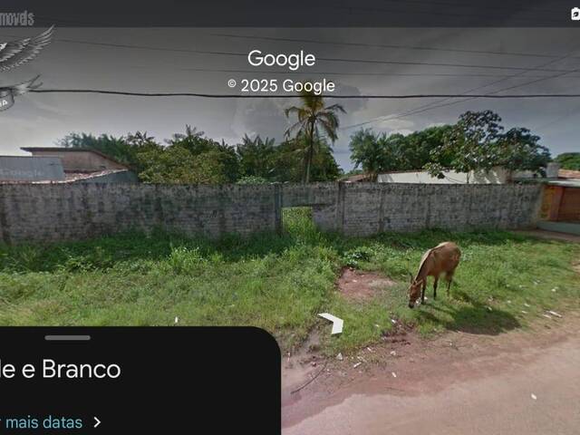 #251 - Terreno para Venda em Barcarena - PA - 1
