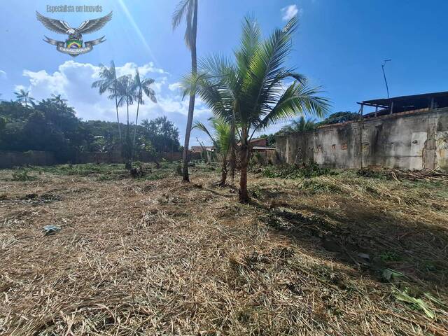 #251 - Terreno para Venda em Barcarena - PA - 3