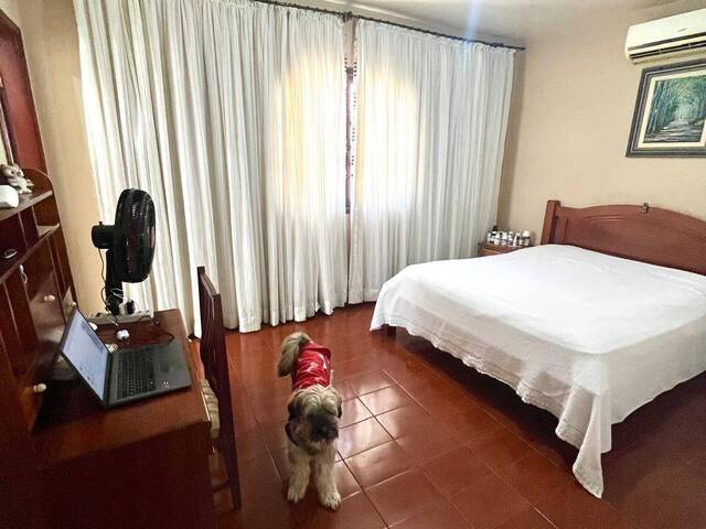 Casa para Locação em Guarulhos - 5