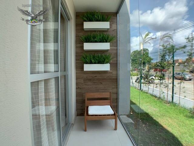 Apartamento à venda com 2 quartos, 51m² - Foto 34