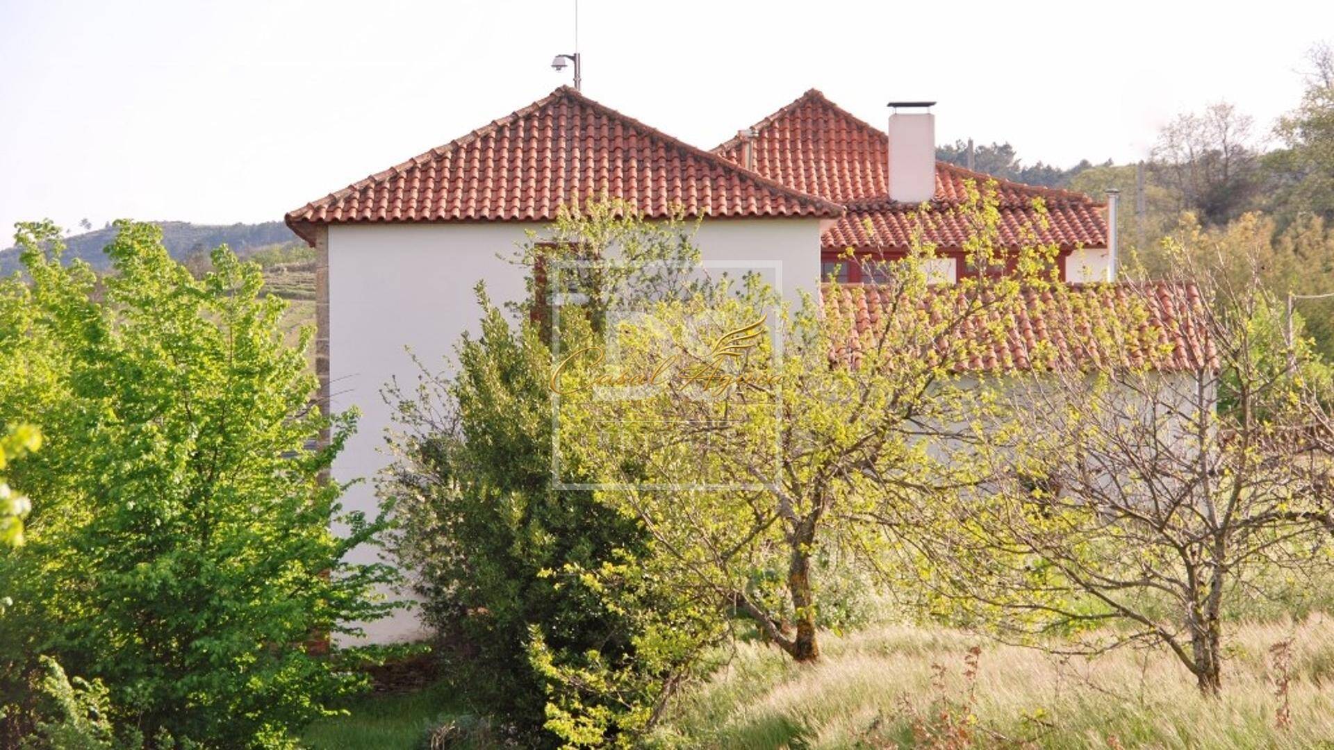 Terreno, 70 hectares - Foto 4