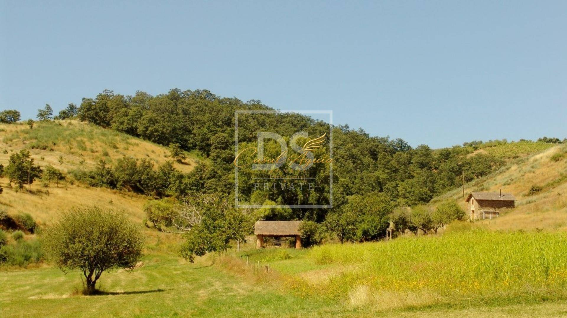 Terreno, 70 hectares - Foto 3