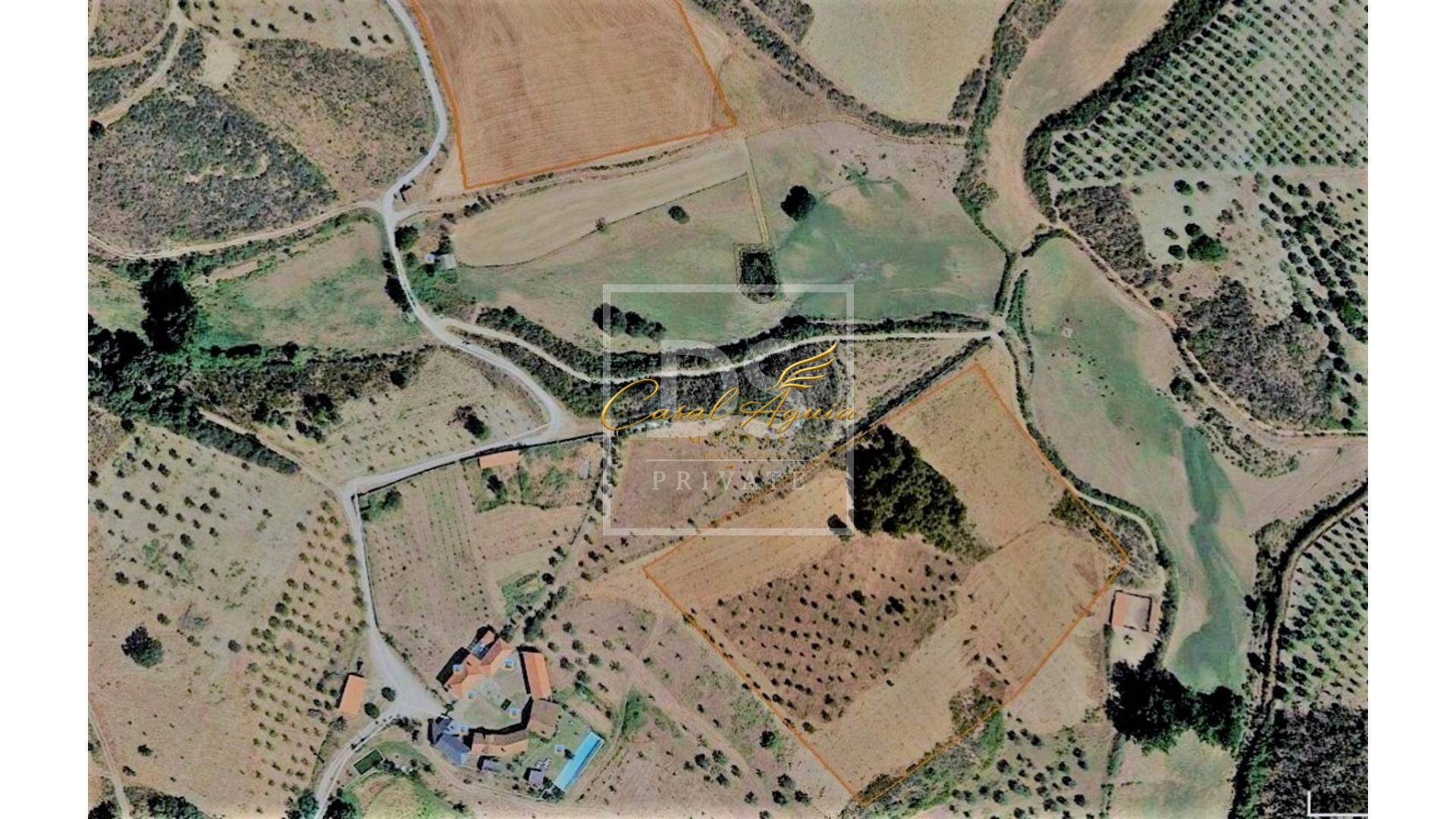 Terreno, 70 hectares - Foto 13