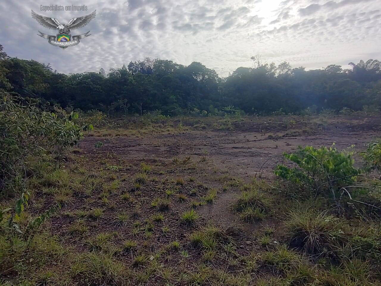 Terreno à venda com 1 quarto, 100m² - Foto 3
