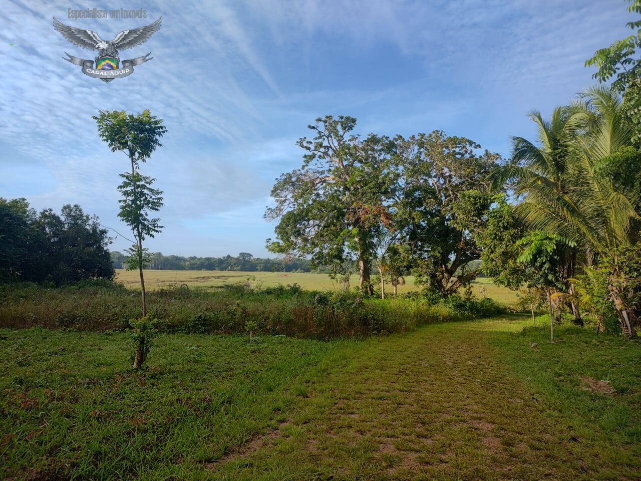 Terreno à venda com 1 quarto, 100m² - Foto 4