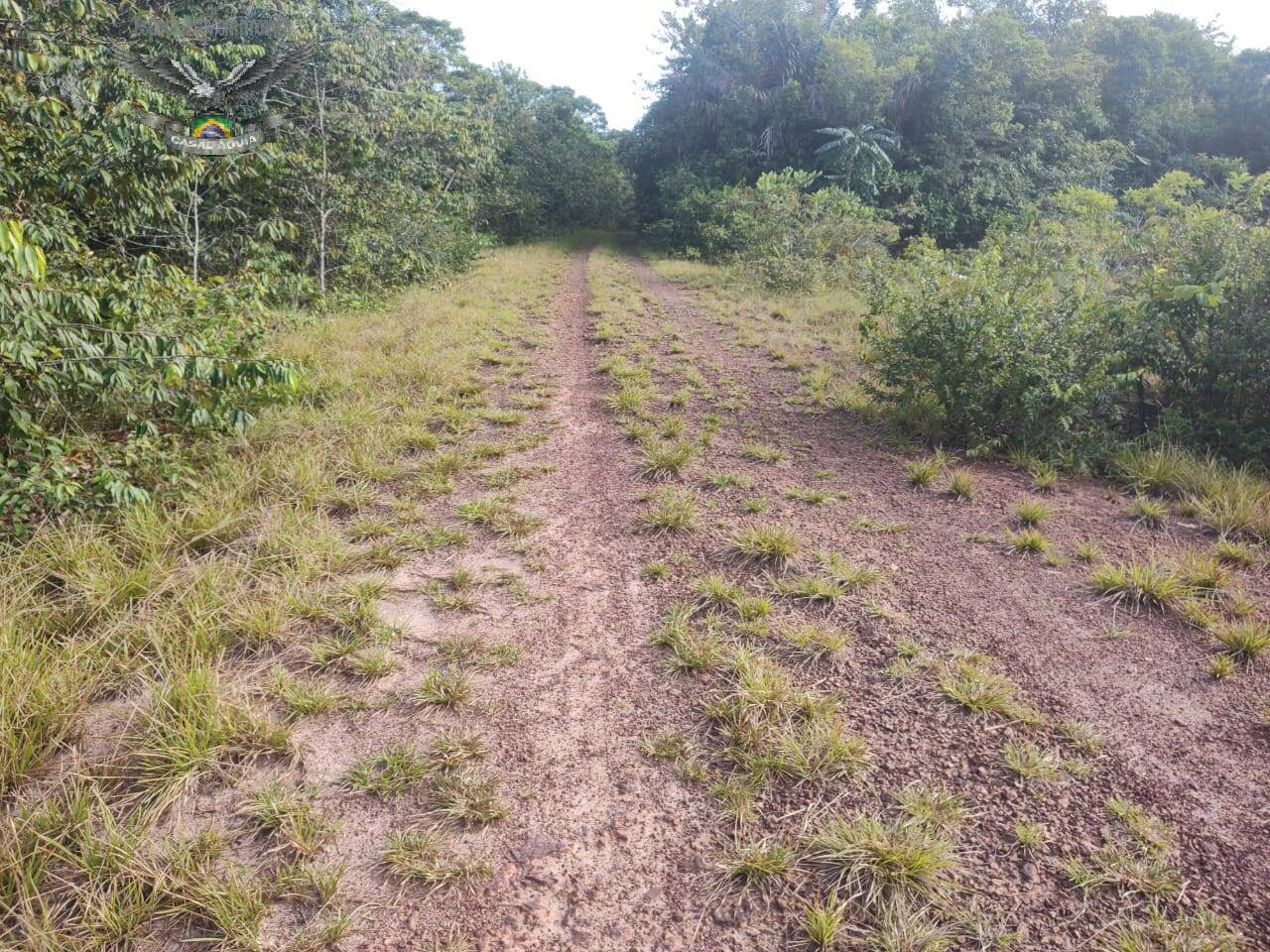 Terreno à venda com 1 quarto, 100m² - Foto 6