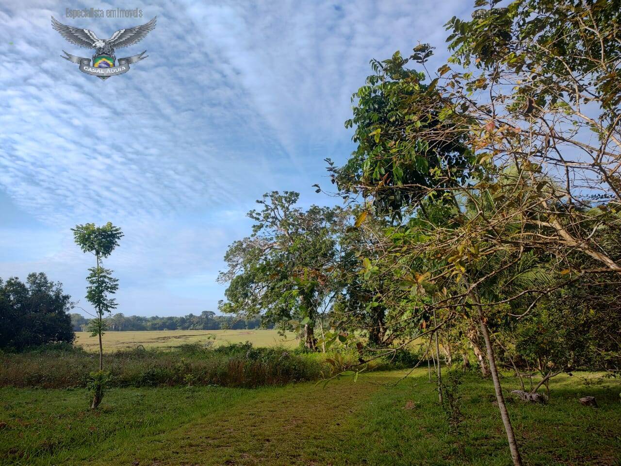 Terreno à venda com 1 quarto, 100m² - Foto 5