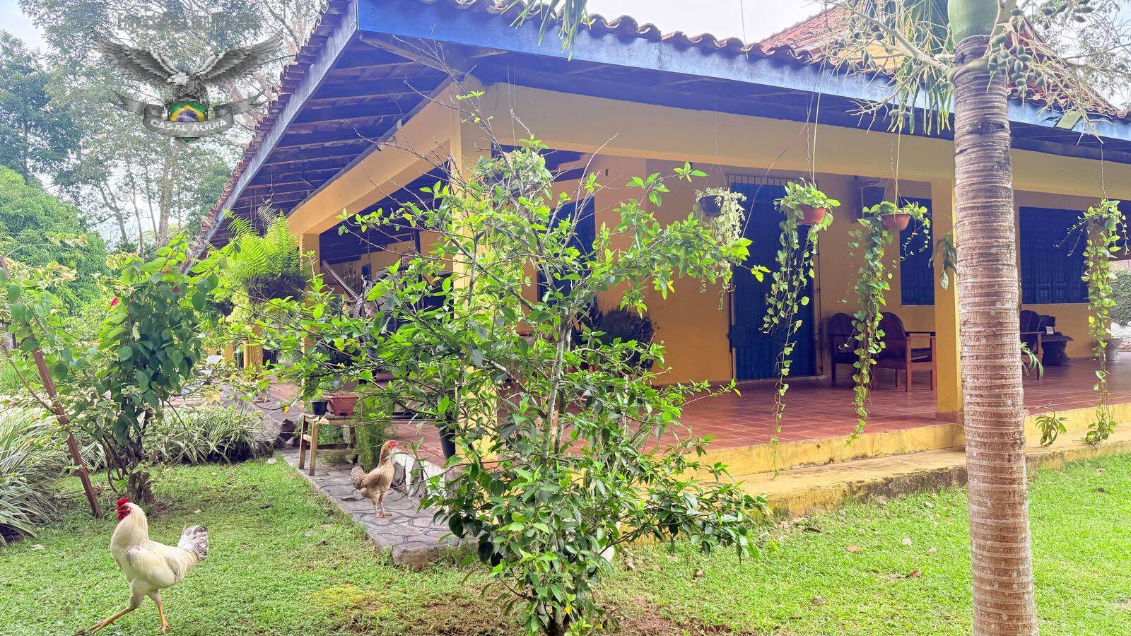 Sítio à venda com 4 quartos, 5000m² - Foto 1