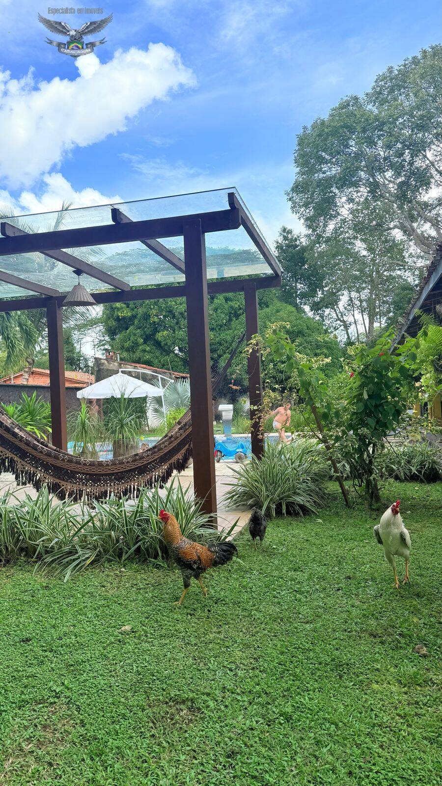 Sítio à venda com 4 quartos, 5000m² - Foto 2