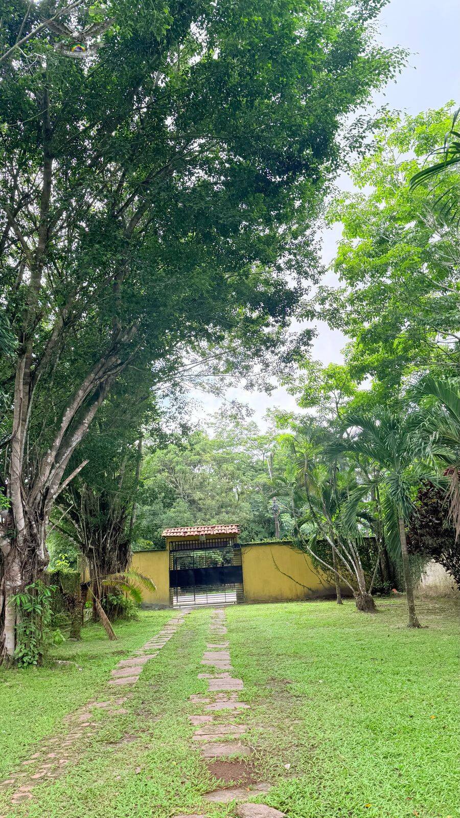Sítio à venda com 4 quartos, 5000m² - Foto 4