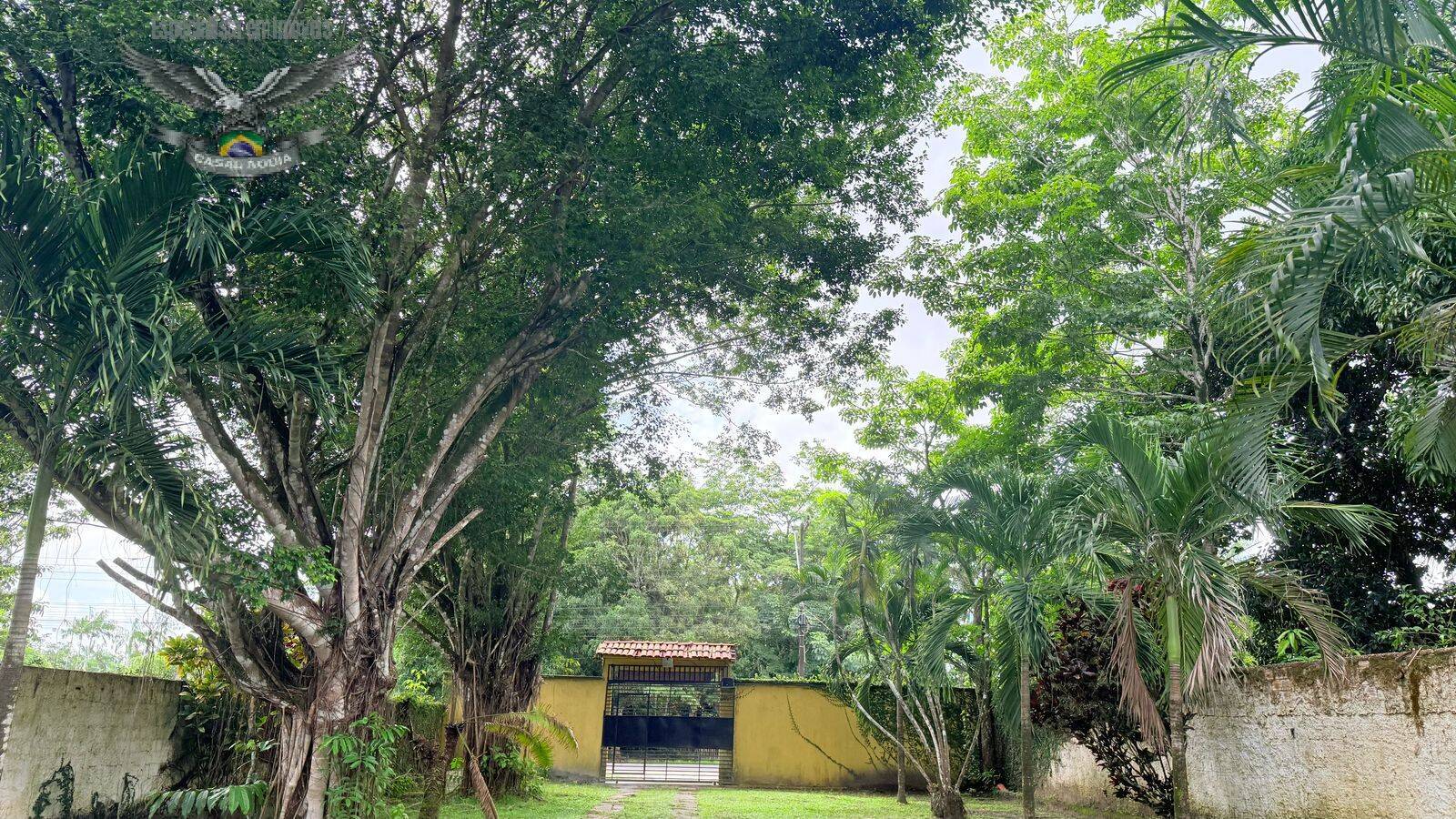 Sítio à venda com 4 quartos, 5000m² - Foto 6