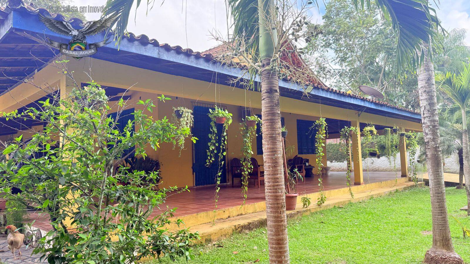 Sítio à venda com 4 quartos, 5000m² - Foto 5
