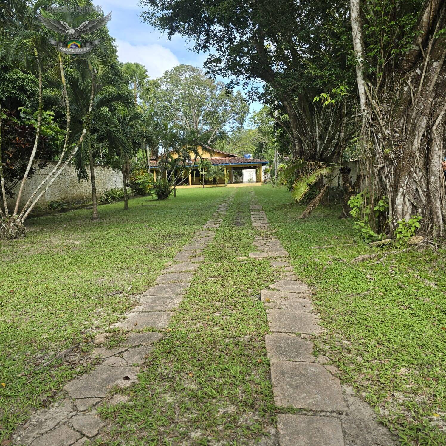 Sítio à venda com 4 quartos, 5000m² - Foto 12
