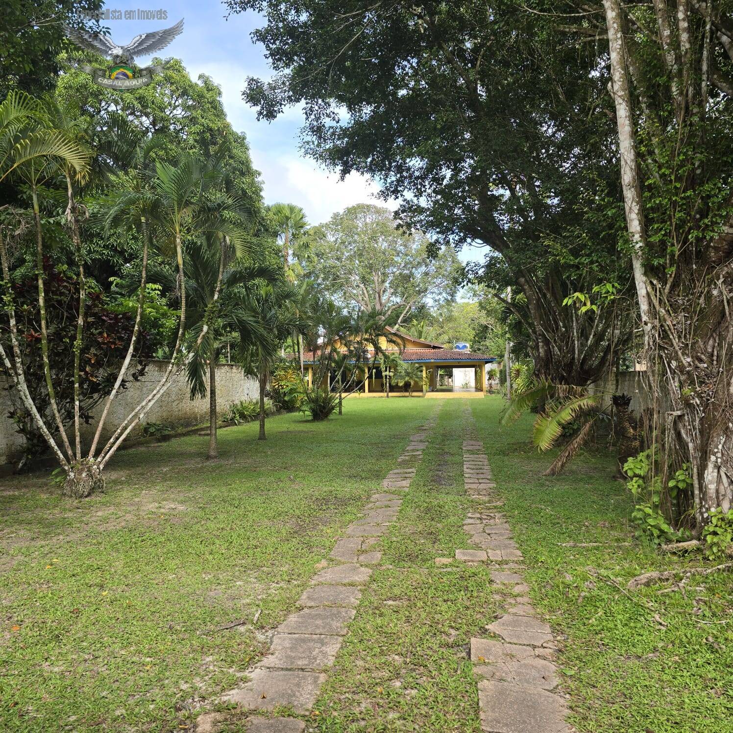 Sítio à venda com 4 quartos, 5000m² - Foto 13