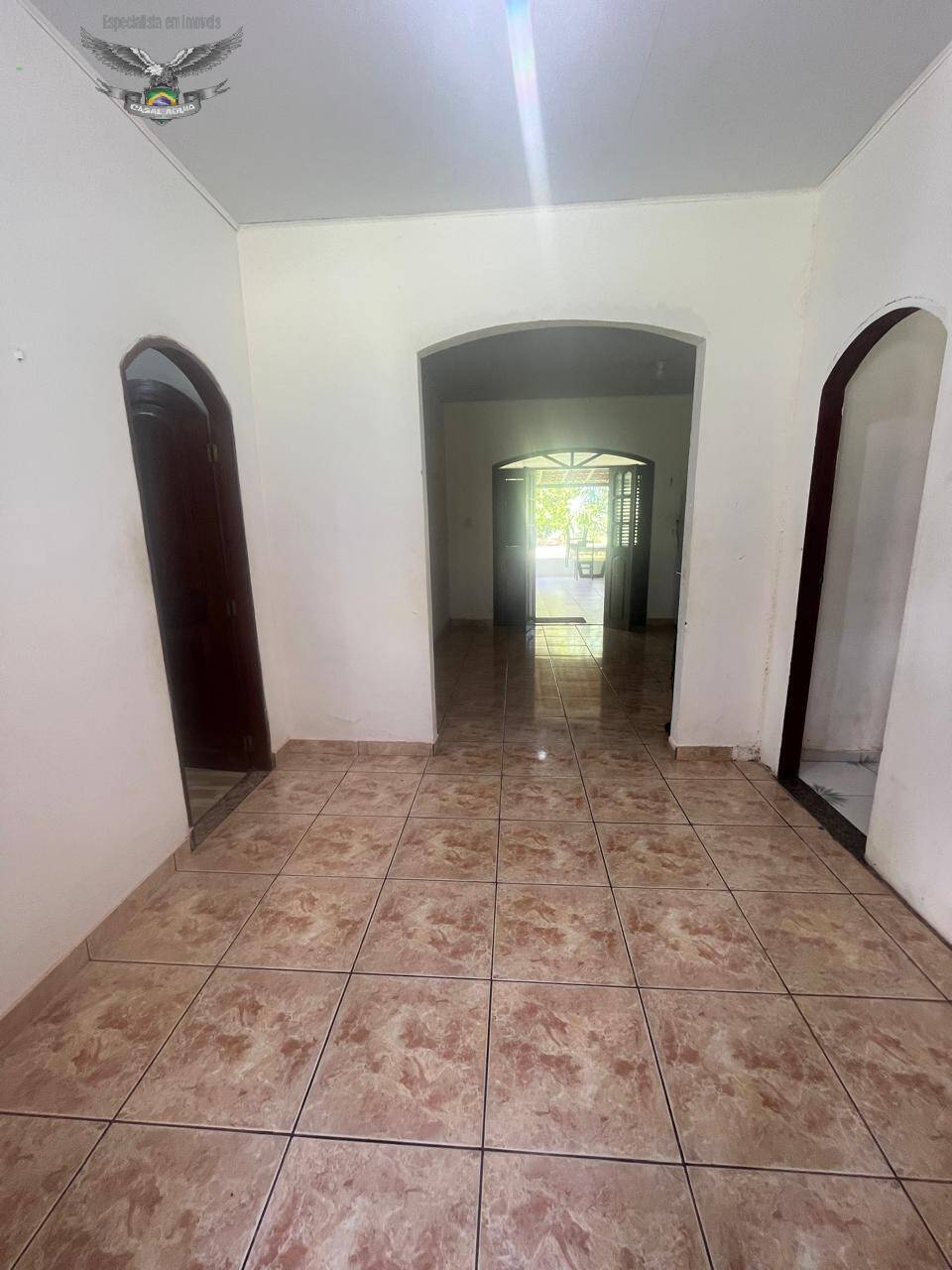 Sítio à venda com 3 quartos, 300m² - Foto 11