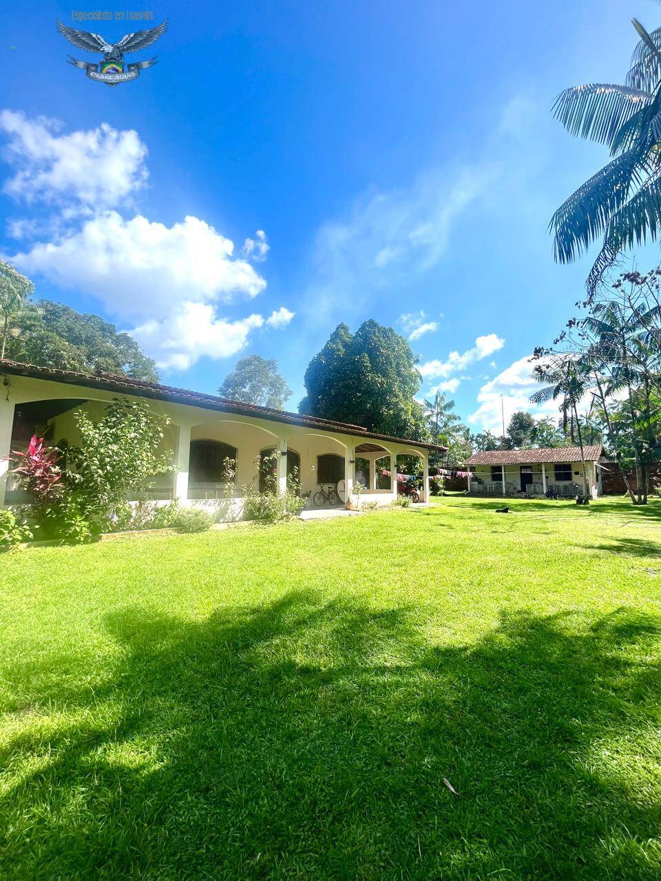 Sítio à venda com 3 quartos, 300m² - Foto 9