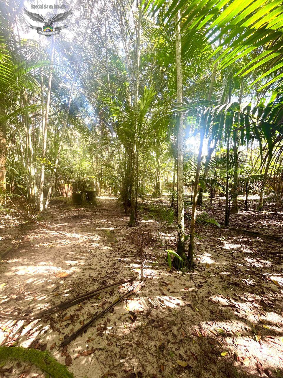 Sítio à venda com 3 quartos, 300m² - Foto 2