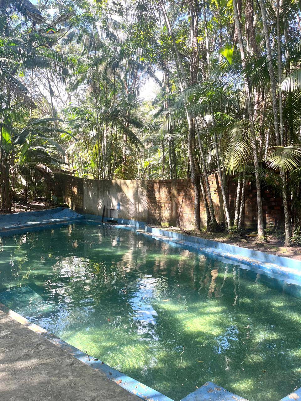 Sítio à venda com 3 quartos, 300m² - Foto 4