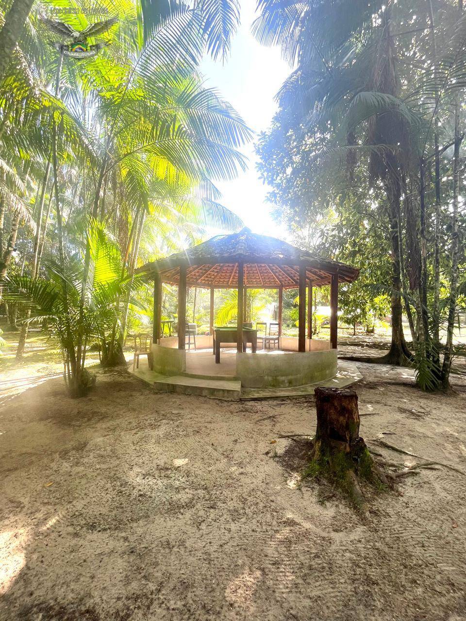 Sítio à venda com 3 quartos, 300m² - Foto 6