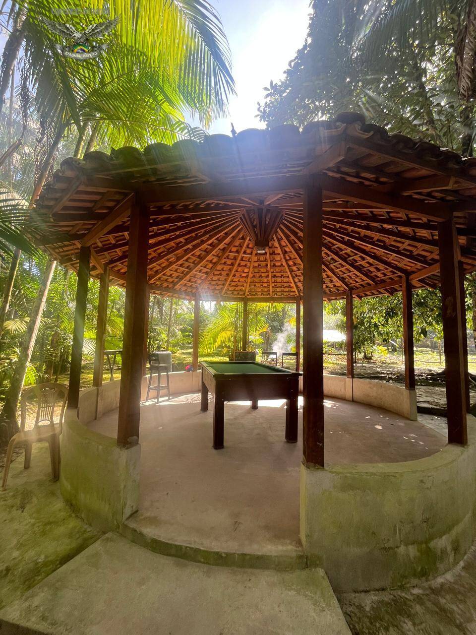 Sítio à venda com 3 quartos, 300m² - Foto 5
