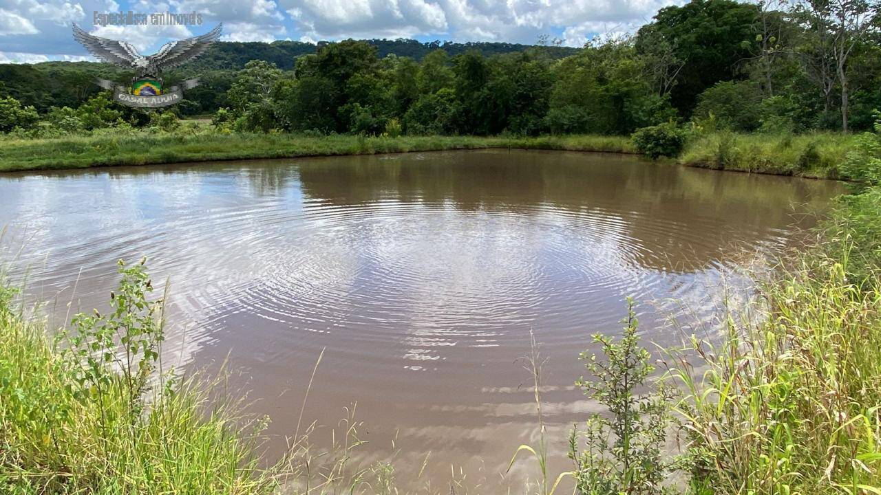 Fazenda à venda com 4 quartos, 3000m² - Foto 2