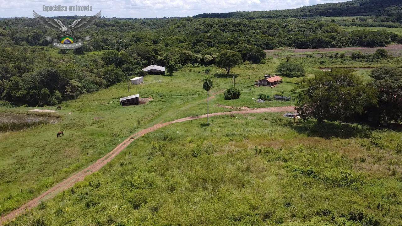 Fazenda à venda com 4 quartos, 3000m² - Foto 8
