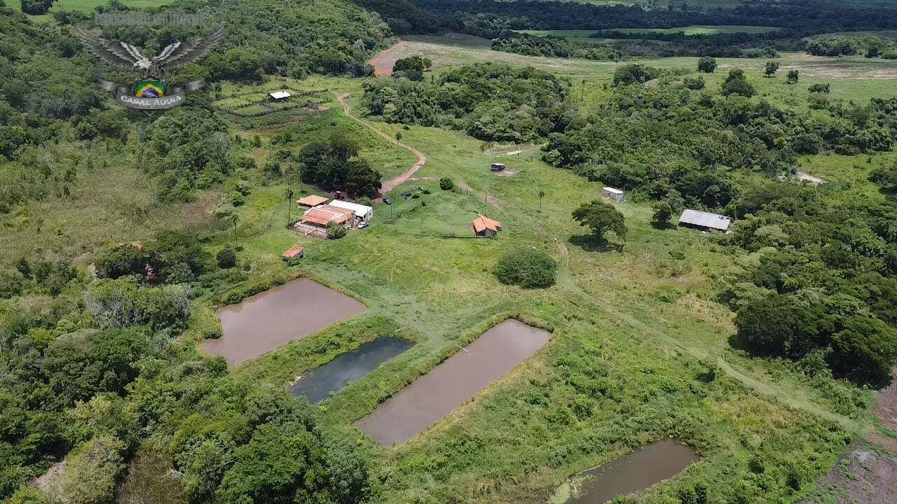 Fazenda à venda com 4 quartos, 3000m² - Foto 6