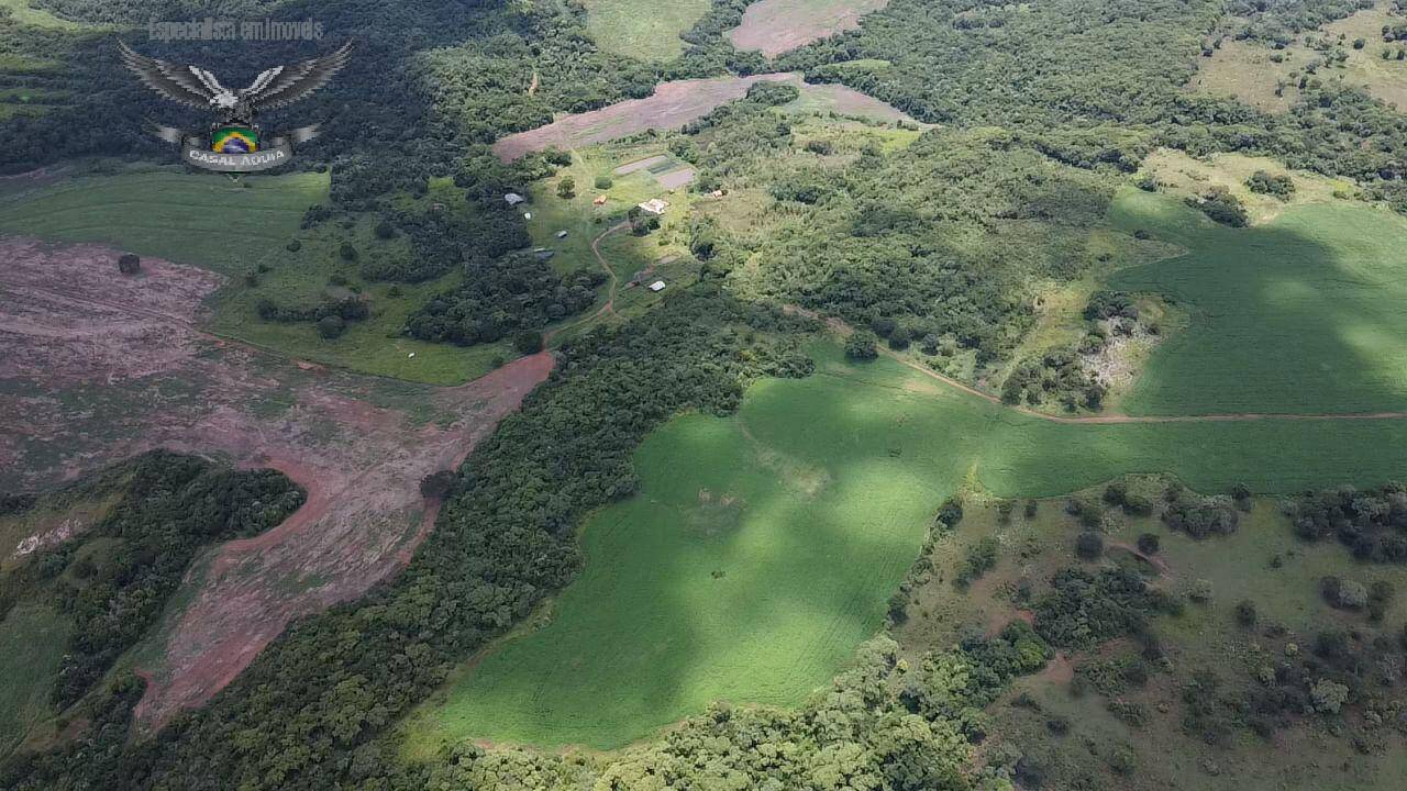 Fazenda à venda com 4 quartos, 3000m² - Foto 9
