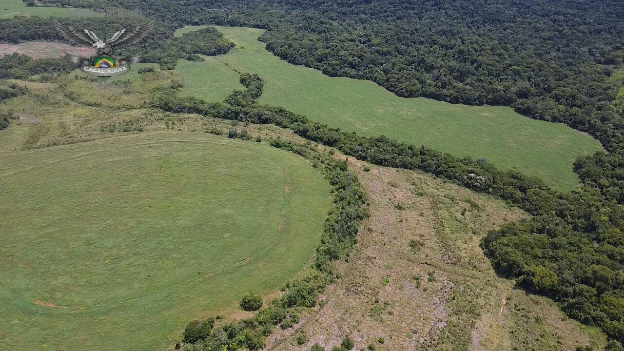 Fazenda à venda com 4 quartos, 3000m² - Foto 10