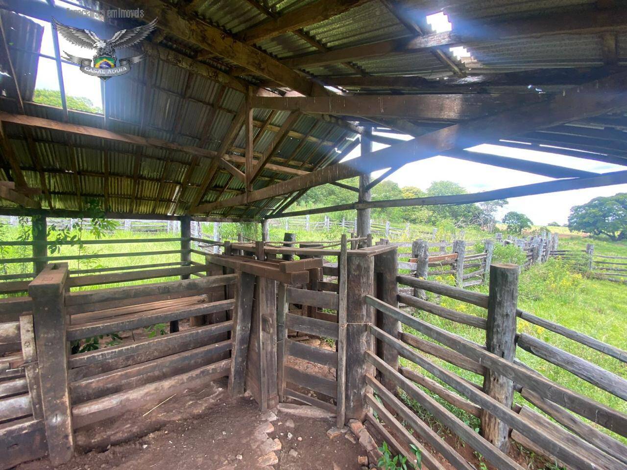 Fazenda à venda com 4 quartos, 3000m² - Foto 12