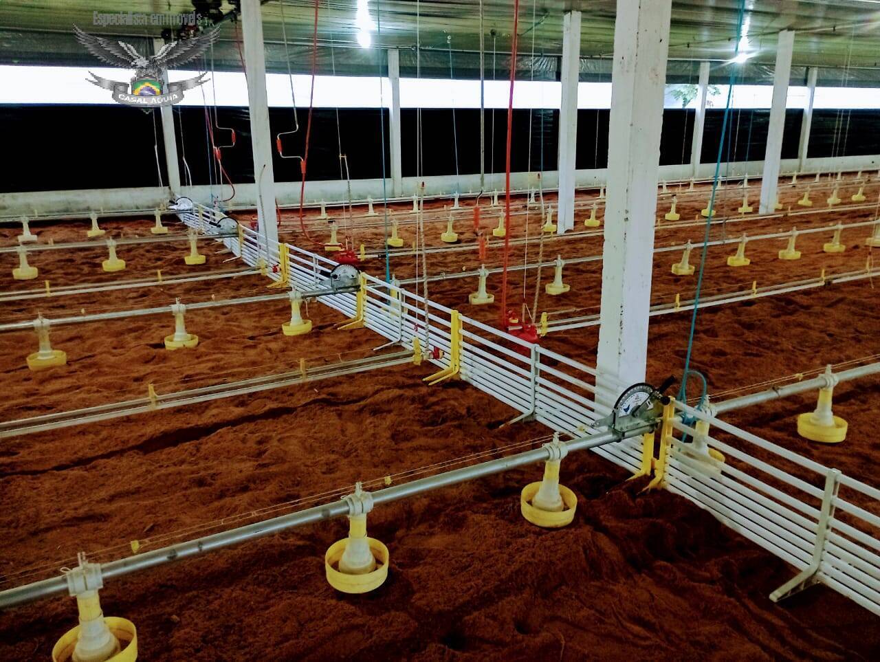 Fazenda à venda com 2 quartos, 825000m² - Foto 8