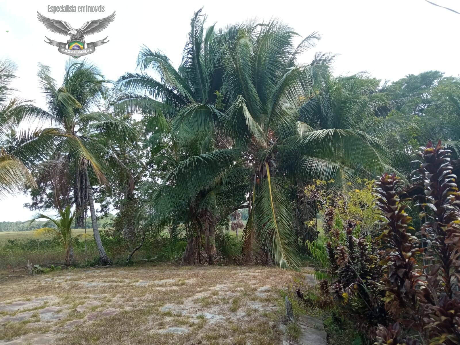 Terreno à venda com 1 quarto, 100m² - Foto 11