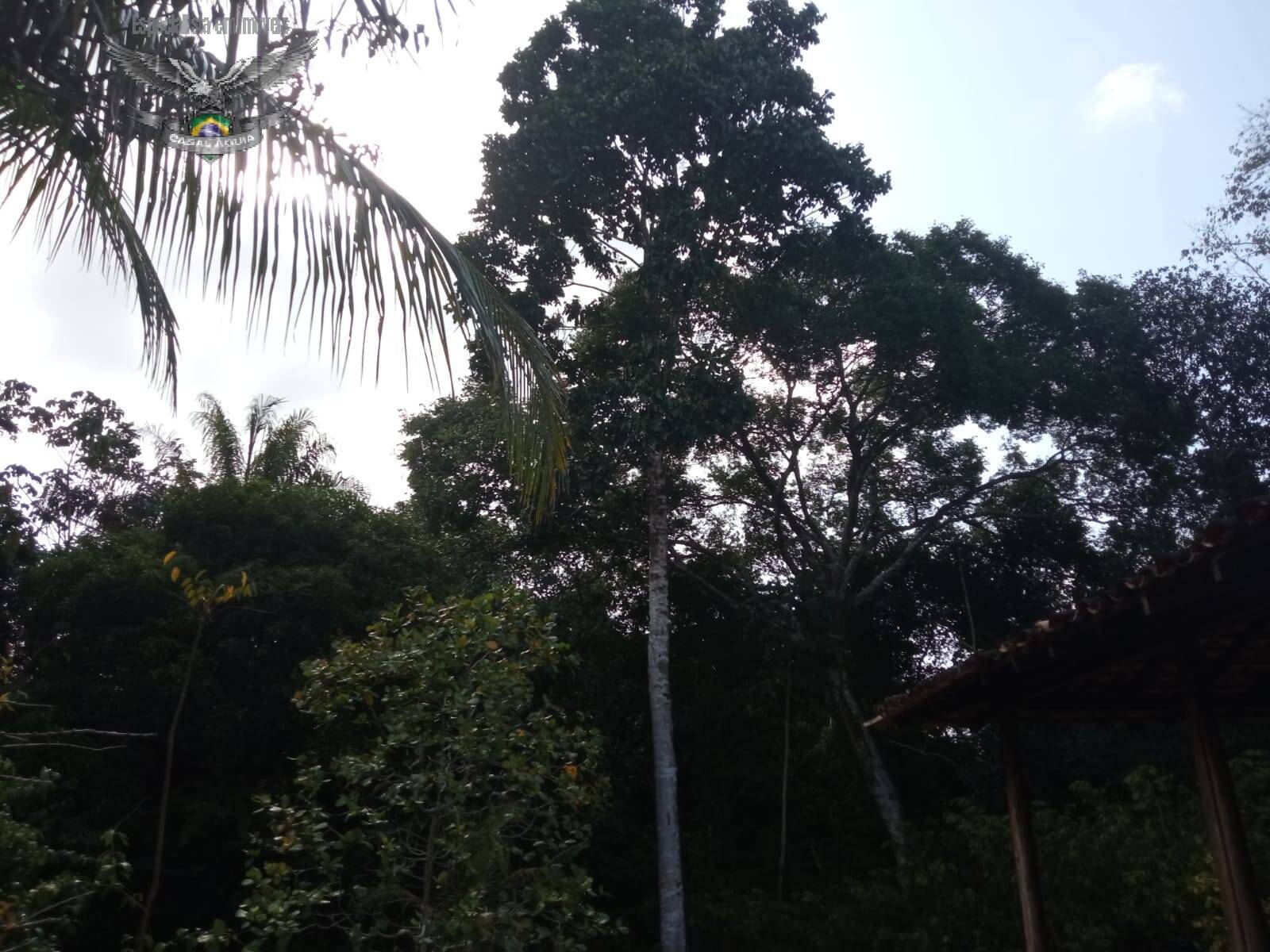 Terreno à venda com 1 quarto, 100m² - Foto 10