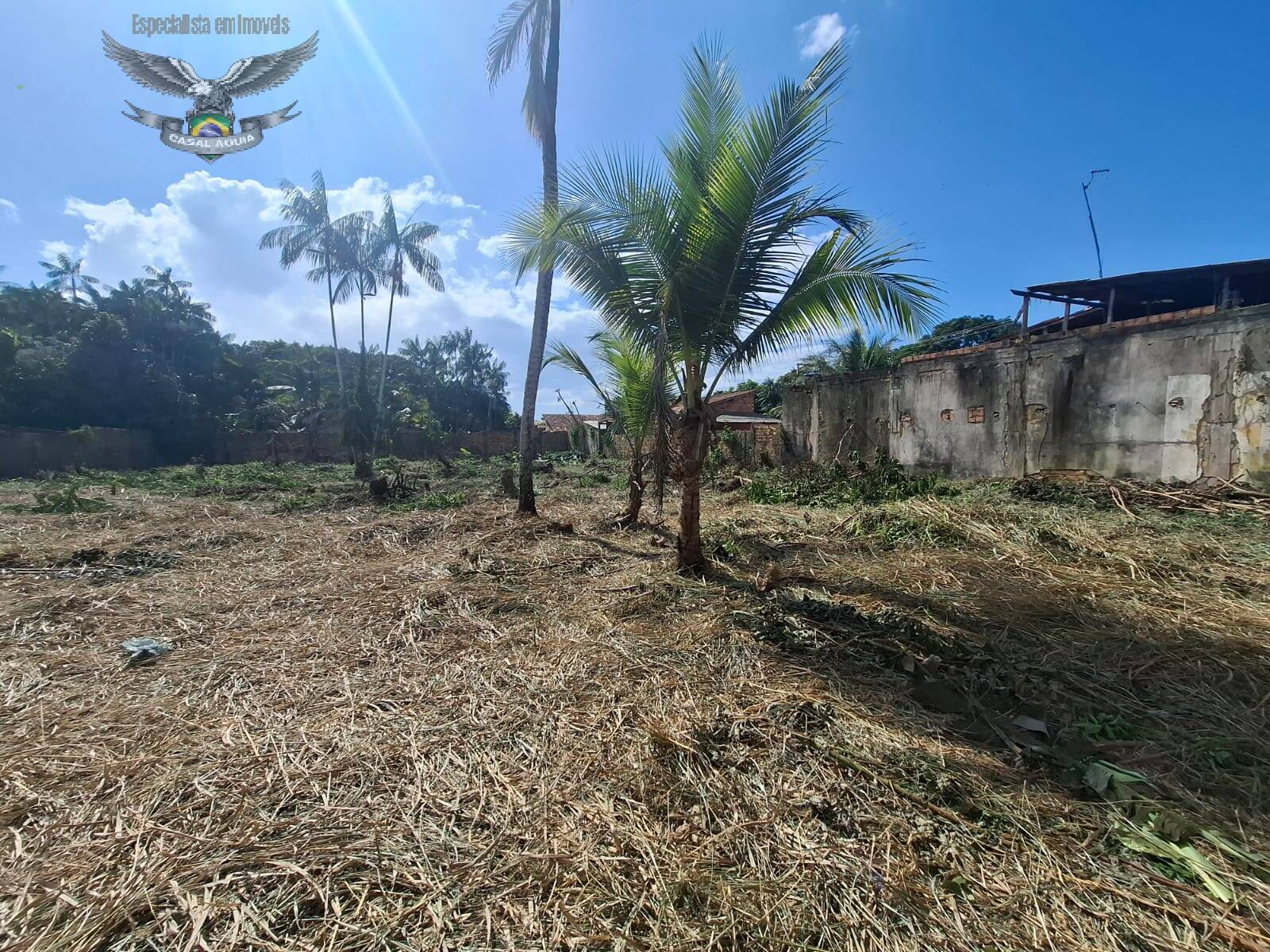 Terreno à venda, 1500m² - Foto 3