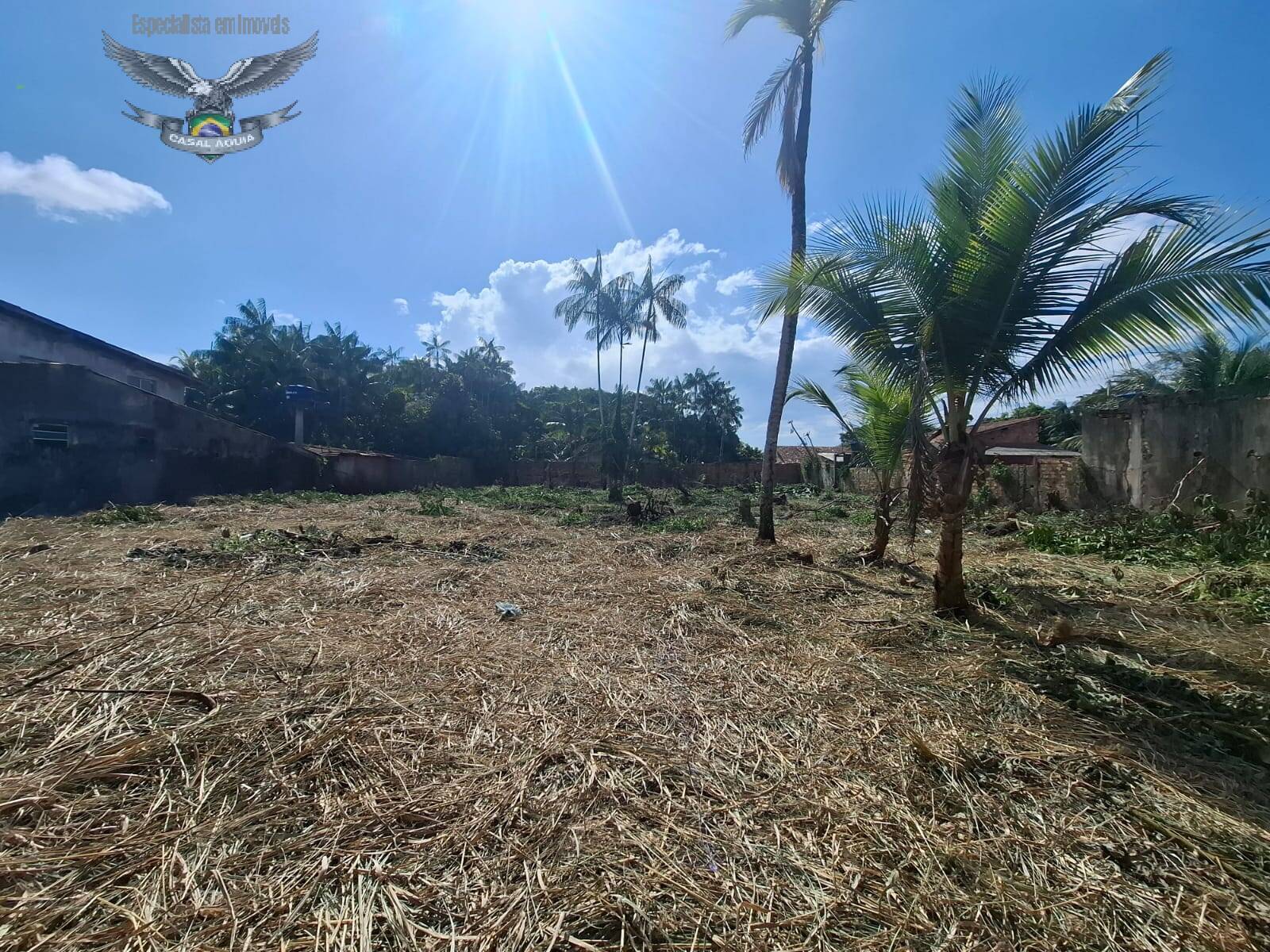 Terreno à venda, 1500m² - Foto 11