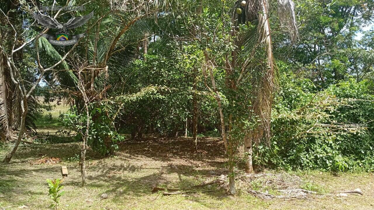 Terreno à venda com 1 quarto, 100m² - Foto 21