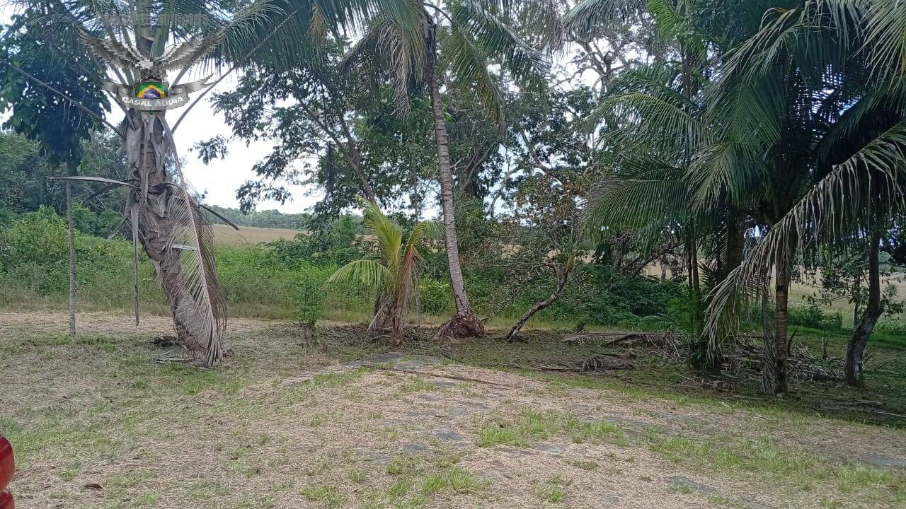 Terreno à venda com 1 quarto, 100m² - Foto 22