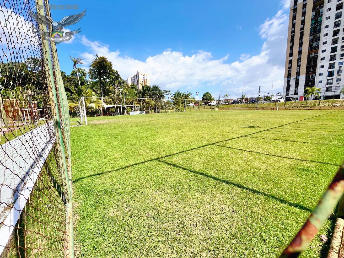 Apartamento à venda com 2 quartos, 60m² - Foto 14