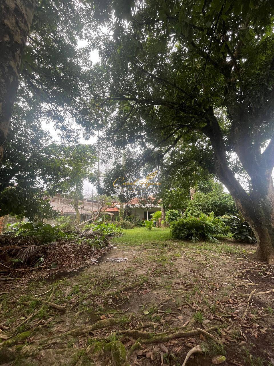 Casa, 4 quartos, 150 m² - Foto 18