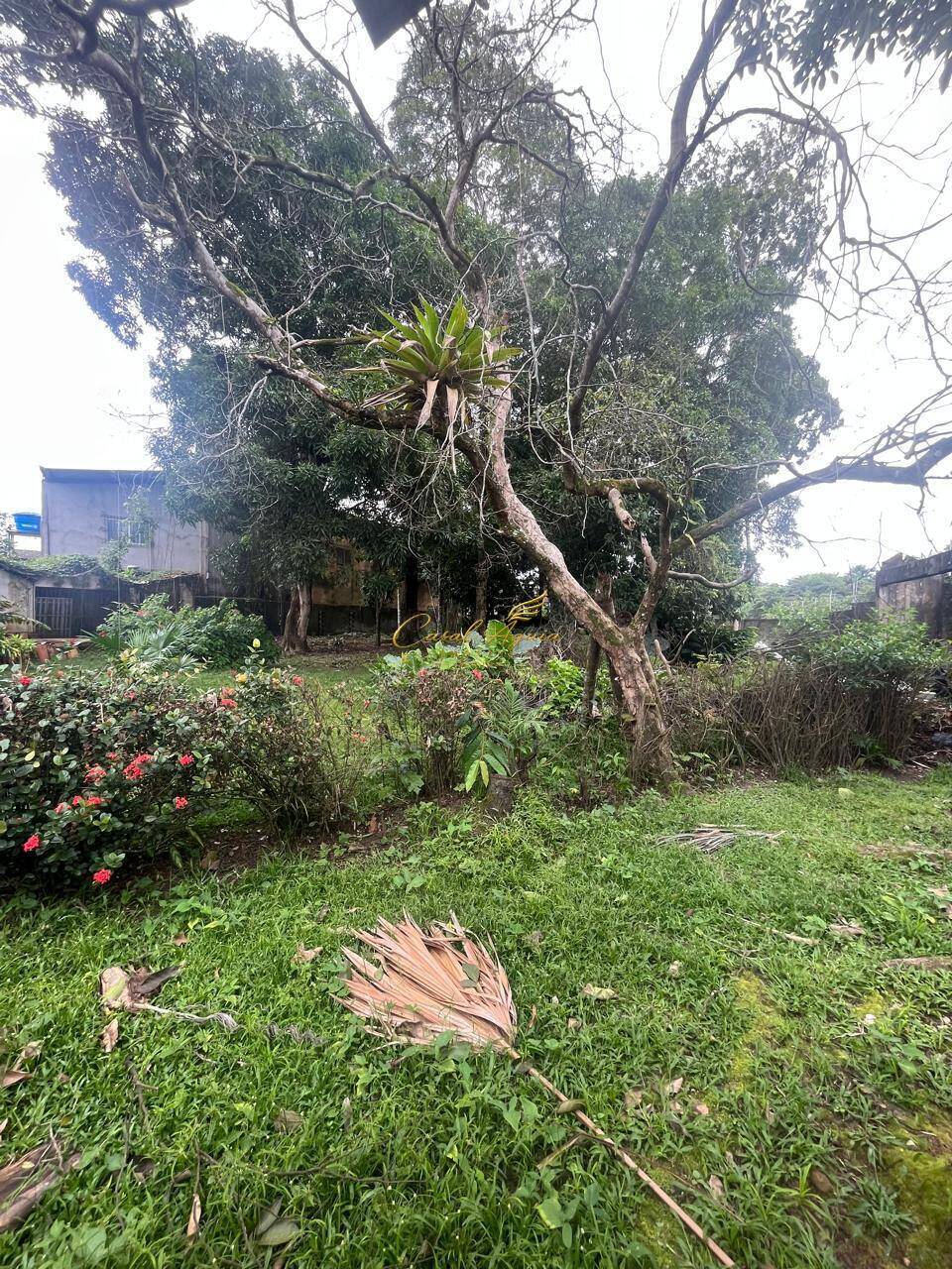 Casa, 4 quartos, 150 m² - Foto 24