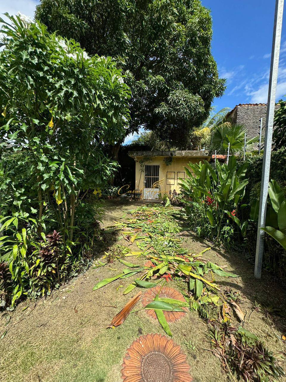 Casa, 3 quartos, 250 m² - Foto 22