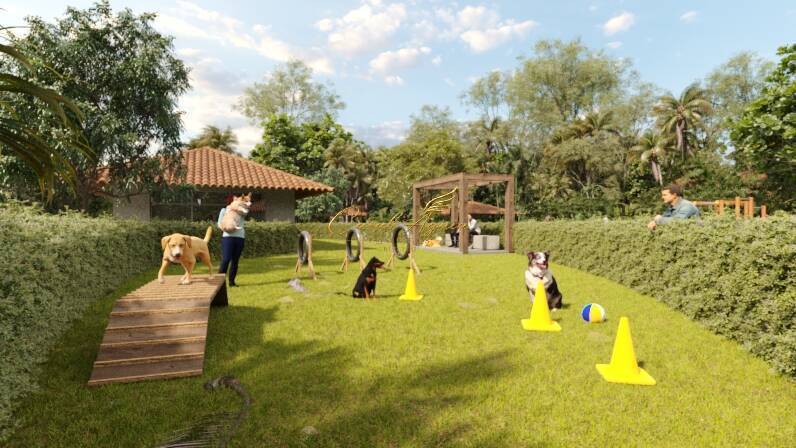 Terreno, 200 m² - Foto 40